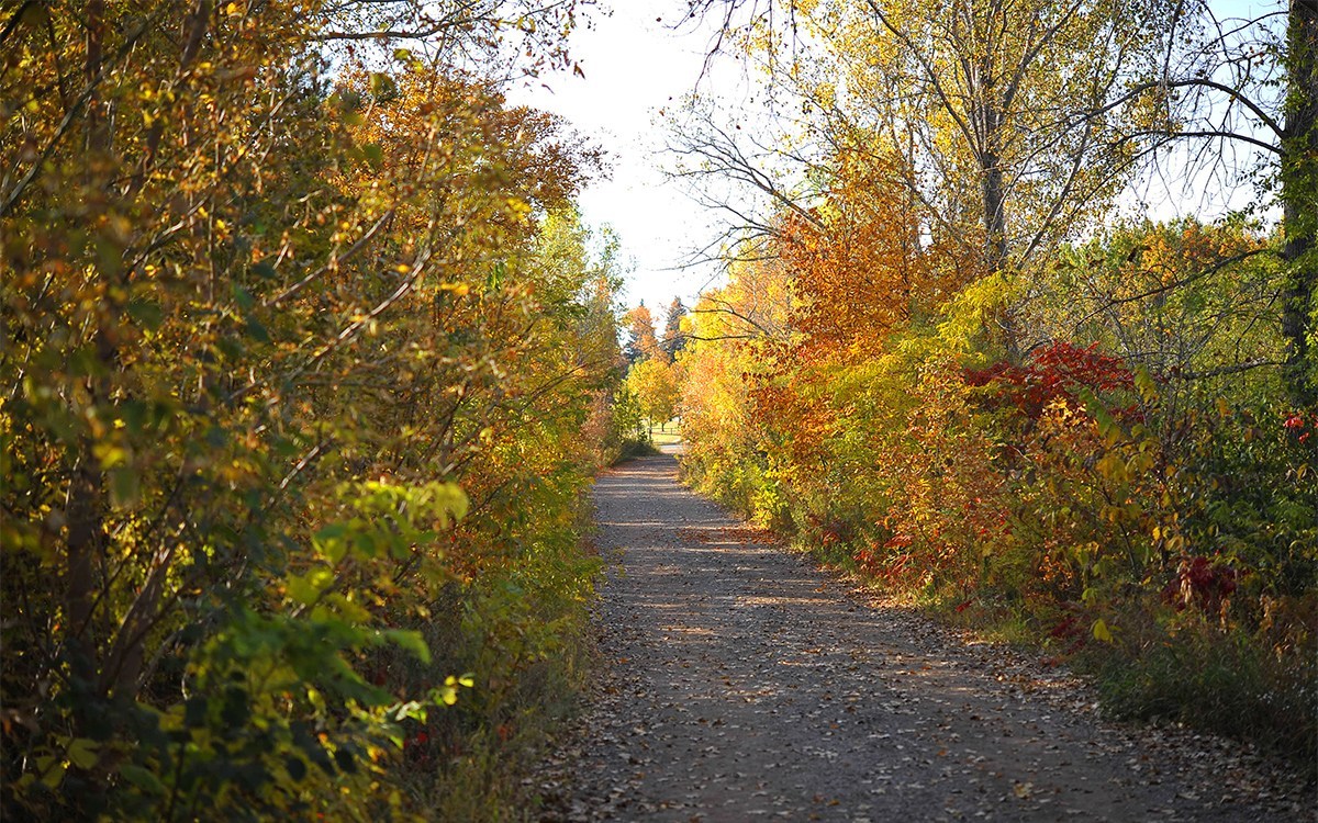 Nature in Northfield